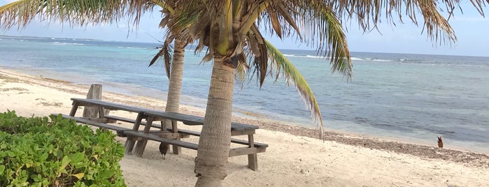 Grapetree Cafe is one of grand cayman.
