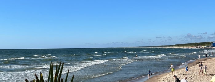sun and beach bar is one of Litva.