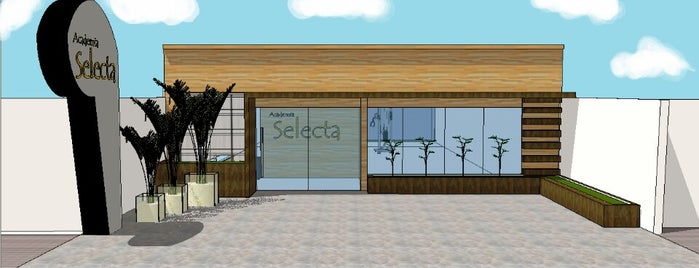 Selecta Academia is one of Orte, die Edson gefallen.