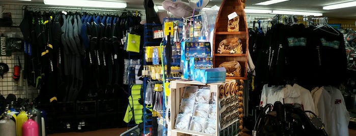 Birds Underwater is one of Best Dive Shops In The World.