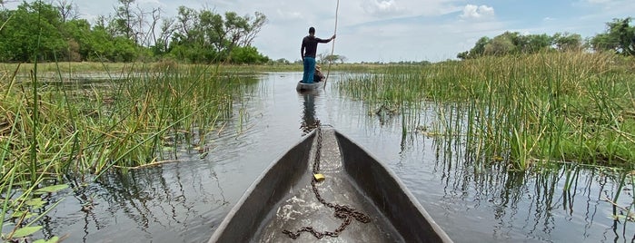 The Okavango Delta is one of Tempat yang Disukai santjordi.