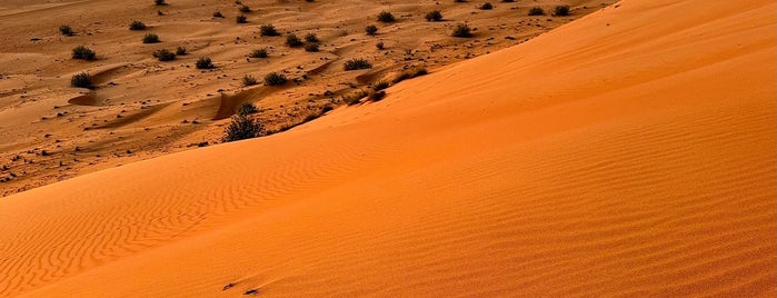 Desert Nights Camp Al Wasil is one of best around the world.