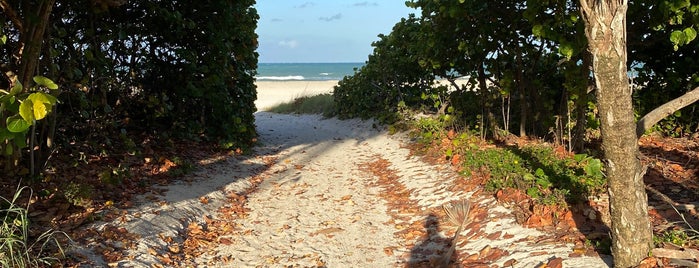 Haulover Beach Park is one of Tempat yang Disukai Beto.