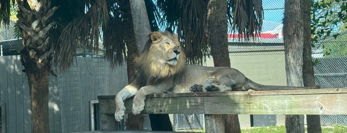 Naples Zoo is one of Florida 2022.