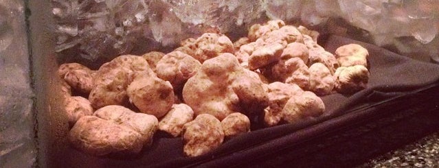 Where to Eat White Truffles Across the U.S.