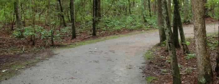 Huguenot Park Trails is one of Parks.