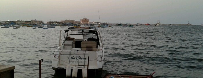 Alexandria Diving House is one of My places...