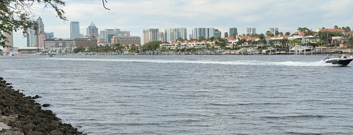 Davis Islands Park is one of City of Tampa Parks.