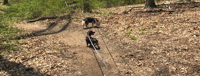 Graham Hills County Park is one of Hawthorne.