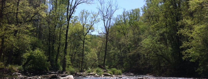 Wissahickon Valley Park is one of Philly.