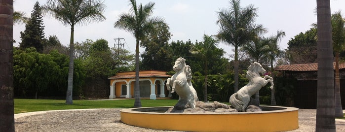 Rancho Cuernavaca is one of Privado.
