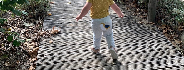 Greenwich Park Playground is one of Fun Playgrounds.