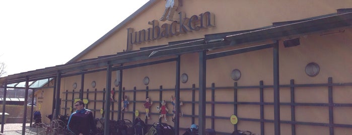 Junibacken is one of Швеция НГ 2014.