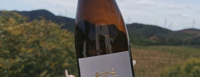 Quinta do Francês is one of Portuguese Wine.