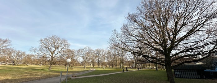 Rosensteinpark is one of Stuttgarter Lieblingsorte.