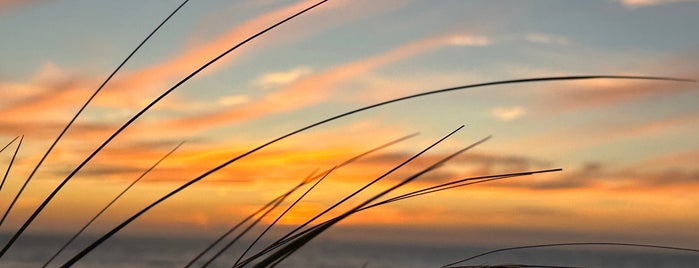 Boulevard Zandvoort is one of Top picks for Beaches.