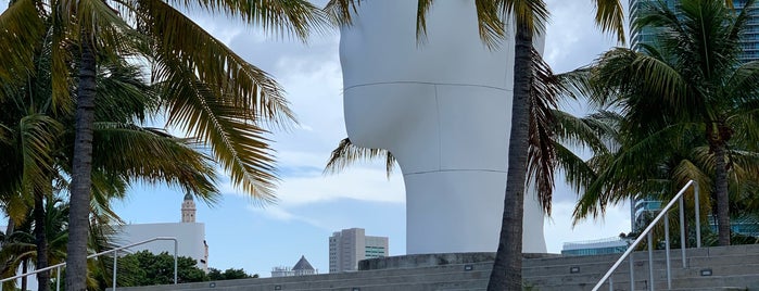 Looking Into My Dreams, Awilda, 2012 is one of Bienvenido a Miami.