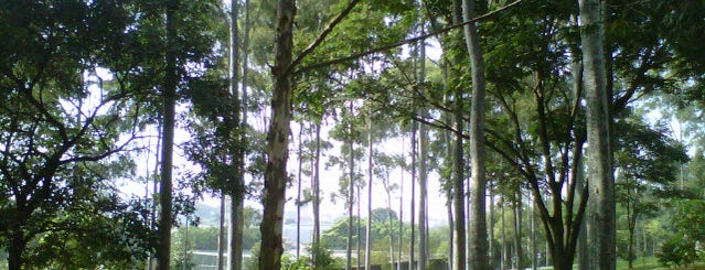 Parque Ecológico Vila Prudente (Profª Lydia Natalizio Diogo) is one of #IHeartSãoPaulo.