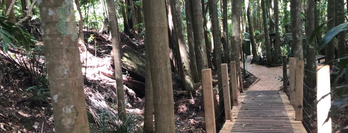 Mount Tamborine Botanic Gardens is one of Pacific Trip not visited.