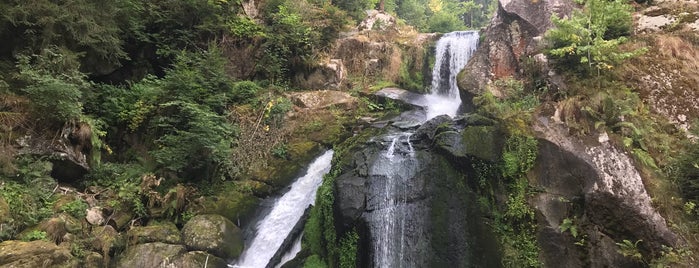 Triberger Wasserfälle is one of Nieko : понравившиеся места.