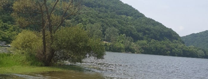 Bovansko jezero is one of Mirna : понравившиеся места.