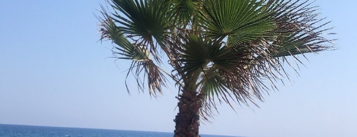 Locca Beach is one of Mersin.