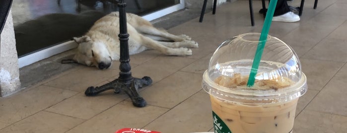 Starbucks is one of Posti che sono piaciuti a Mujdat.