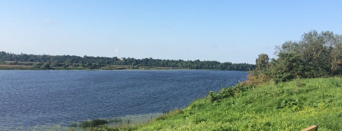 Река Великая is one of สถานที่ที่ Анжелика ถูกใจ.