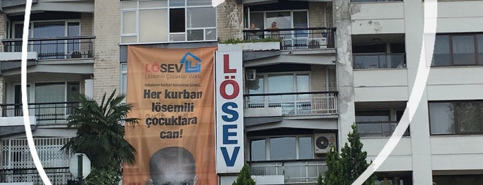 LÖSEV Bursa is one of สถานที่ที่ selanus ถูกใจ.