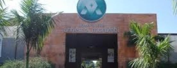 Universidade Anhembi Morumbi is one of สถานที่ที่ Adriane ถูกใจ.