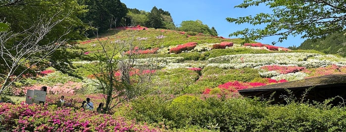 姫の沢公園 is one of Park.