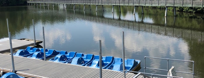 Lake Johnson Boat House is one of Must-visit Great Outdoors in Raleigh.