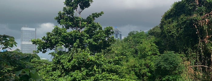 Forest Walk is one of Singapore 2.0.