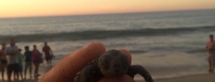 Campamento Tortuguero Sayulita is one of MLO’s Liked Places.