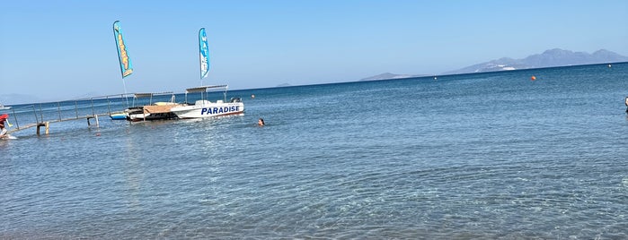 Paradise Beach Bar is one of Kos.