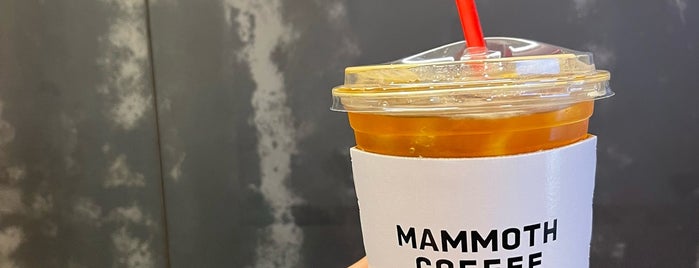 MAMMOTH EXPRESS is one of ♠ 가로수길 지역전문가 ♠.