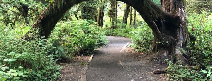 Hall of Mosses is one of Jacquelin’s Liked Places.