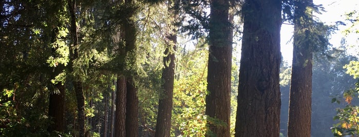 Standish-Hickey State Recreation Area is one of Golden Poppy Annual Pass.