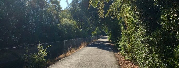 Iron Horse Trail is one of Places to run.