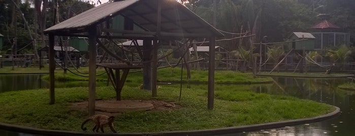 Zoológico do CIGS is one of Manaus 2017.