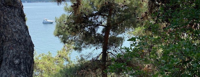 Büyükada Rum Ortodoks Kabristani is one of istanbul gidilecekler anadolu 2.