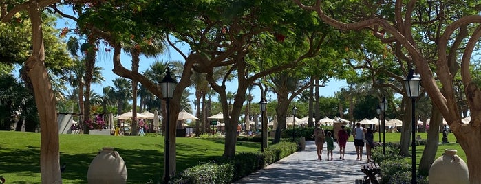 The Beach of Steigenberger Al Dau Beach Hotel is one of ENJOY !.