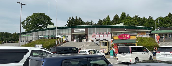 上河内SA (下り) is one of EV friendly venues in Japan.