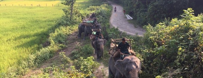 Chitwan National Park, Nepal is one of Locais curtidos por Nate.