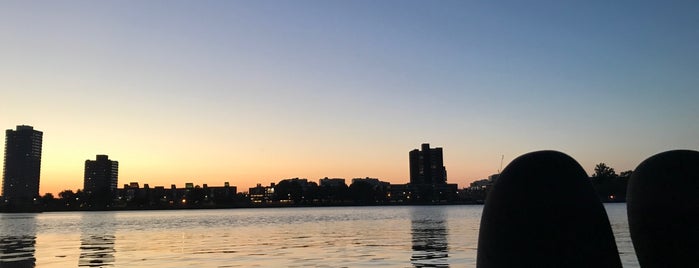 The Docks is one of Boston Restaurants & Bars.