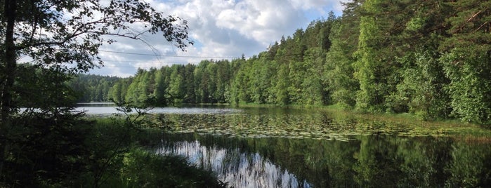 Nuuksio National Park is one of Places to visit in Finland.