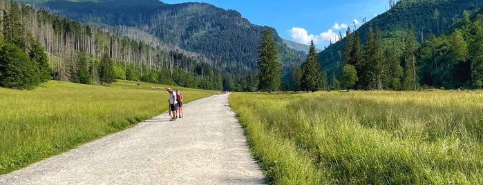 Smreczyński Staw is one of Tatry.