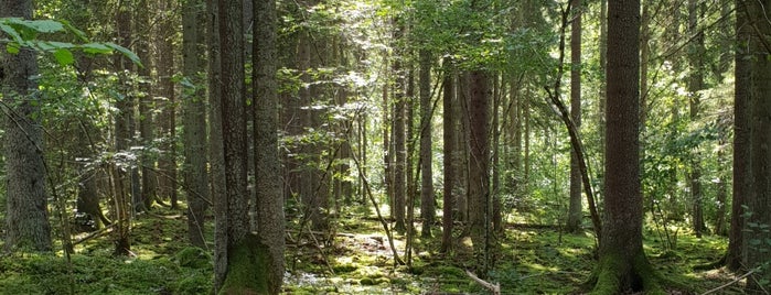 Garphyttans Nationalpark is one of Official National Parks.