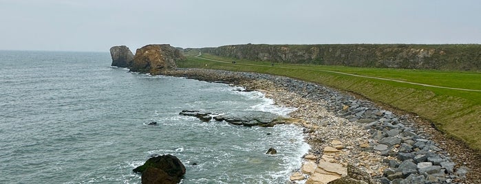 Sandhaven Beach is one of Newcastle Places To Visit.