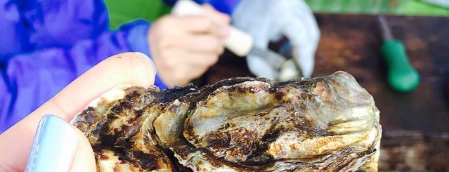 Take This Day Trip: Eat Oysters in Tomales Bay